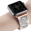 apple watch luxury band