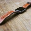 apple watch series 1